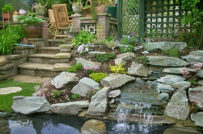 Pond Landscape Design